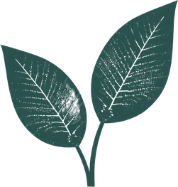 leaf accent