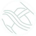 Skilled Design & Development Team
